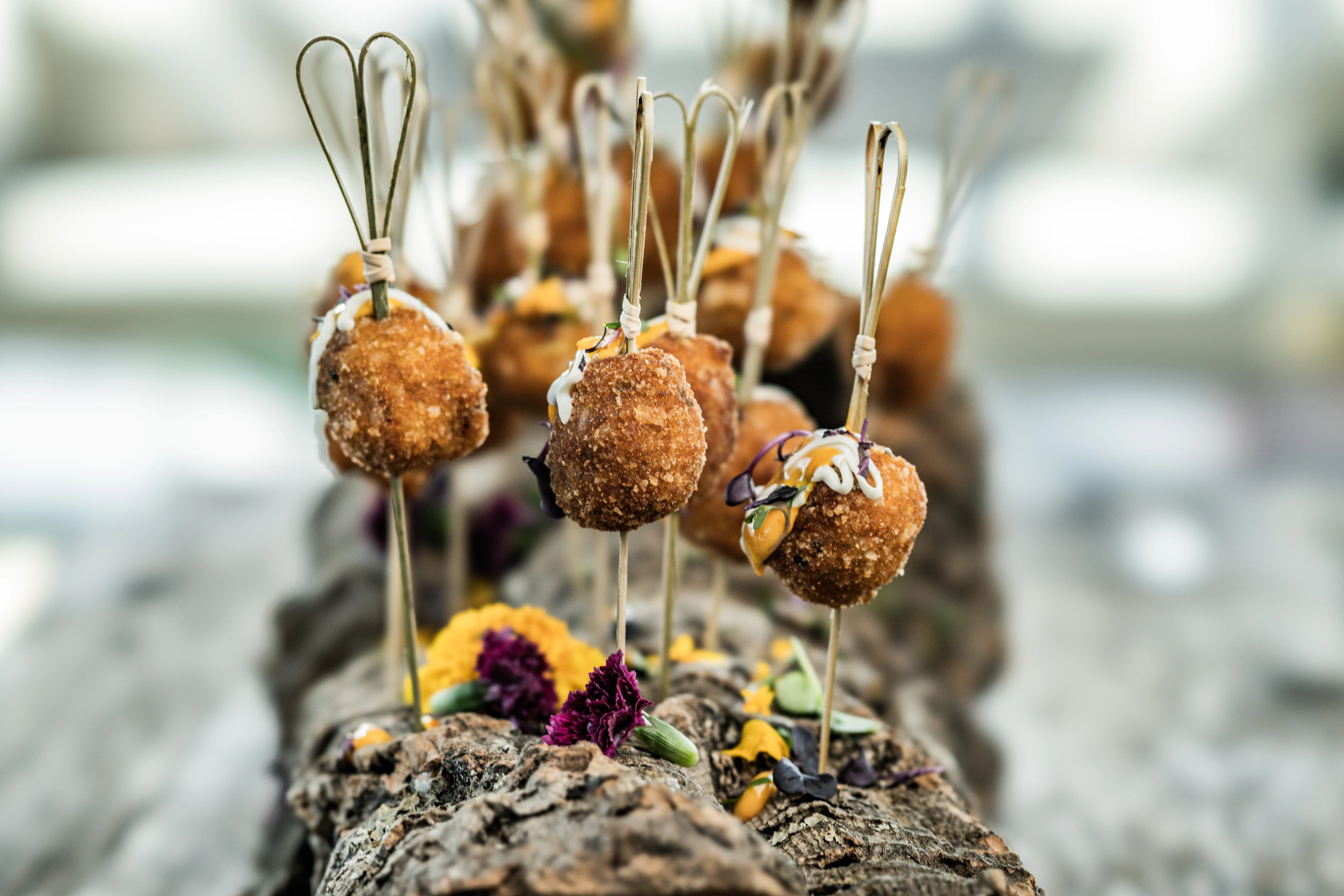 köstliche regionale Gerichte präsentiert